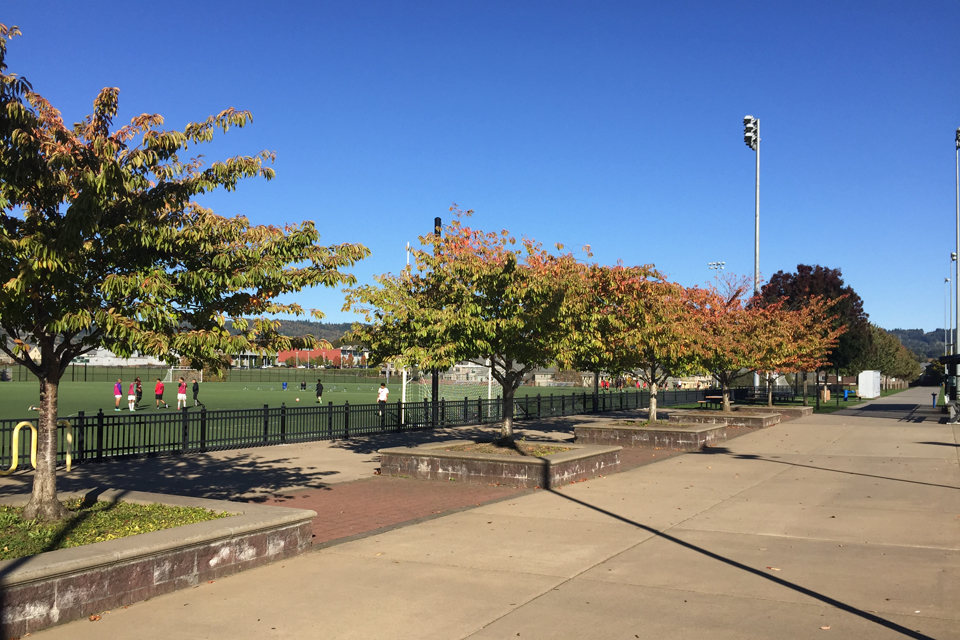 Attractions And Amenities