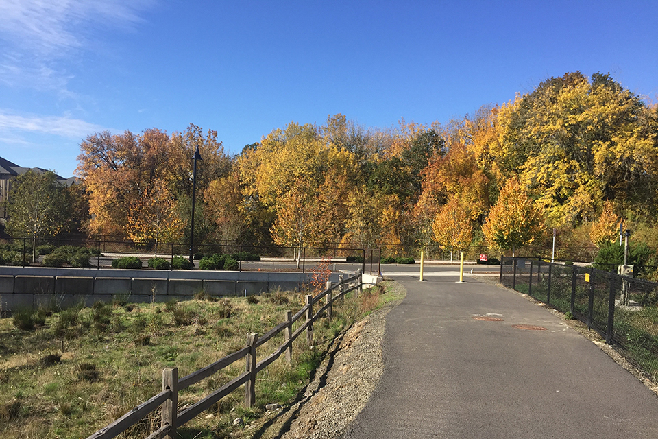 North Bethany Creek