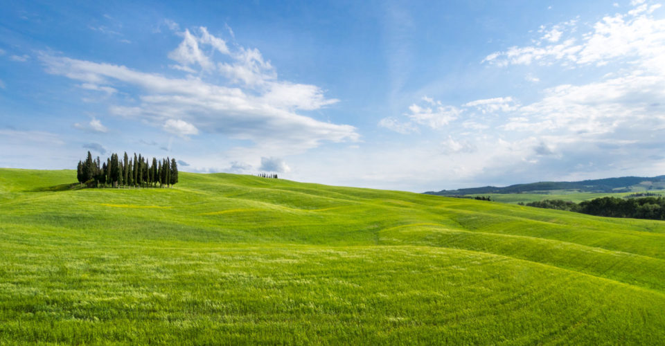 Green-Field